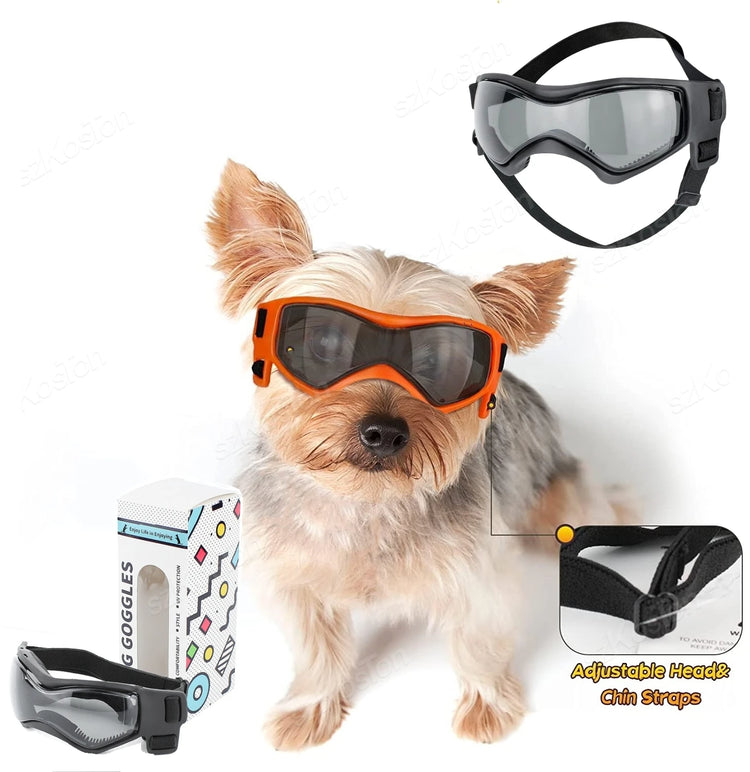 Pet Supplies