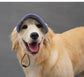 Adjustable Dog Baseball Cap Outdoor Sports Hat