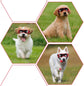 Dog Goggles Medium Small Breed Dog Sunglasses for Adjustable UV Protection