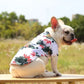 Hawaiian Style Pet Dog Clothe Summer SandBeach Dog Shirts
