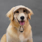 Adjustable Dog Baseball Cap Outdoor Sports Hat