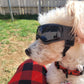 Dog Goggles Medium Small Breed Dog Sunglasses for Adjustable UV Protection
